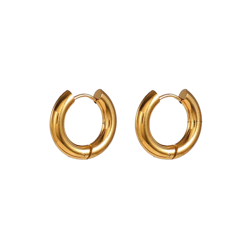 ARRACADAS HOOPS VANESSA